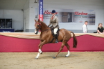 SBM_02078