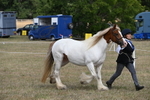 WJ6_6534