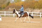 SBM_000750