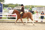 SBM_04810