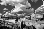 Minerve
