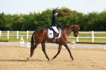 SBM_006884