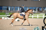 Cls 31, YH 6yr 1.20m portfolio