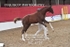 JAC_5757