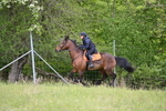 WJ6_1677