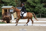 107-Beatrice.Coker-Brown-Portia.the.Fawn portfolio