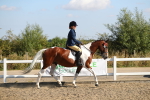 SBM_02192