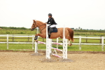 SBM_001498