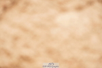 240526A-110212-07707