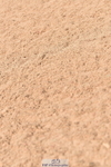 230810A-100120-00192