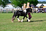 SBM_10008