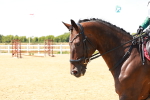 SBM_002459