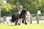 SBM_07231