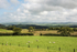 ACP_2442-1