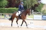 British Dressage portfolio