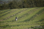 PtP 250921 050