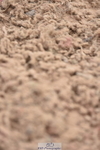 230812A-123214-09258