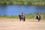 WJ6_8175