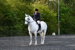 WJ5_8977