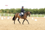 SBM_008868
