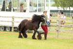 SBM_06275