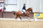 SBM_011537