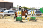 SBM_000795