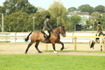 SBM_69339