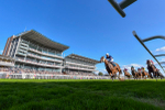 240824-Race 7-Sir Busker-4673