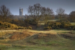 <center>Rushmere Tower</center><br>
