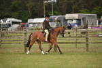 SBM_10686
