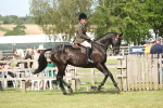 SBM_09175