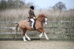 SBM_006074