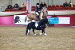 SBM_15241
