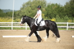 SBM_007876