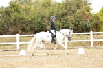 SBM_003650