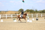 SBM_013843