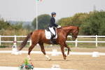 SBM_006323