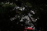 FOM_4076