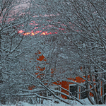 Winterscape