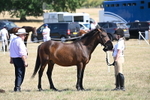 WJ6_9254