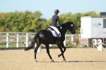 SBM_000773