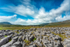 Ribblehead Viaduct