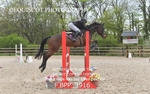 BPP_3916