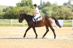 SBM_007504