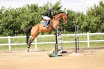 SBM_003499