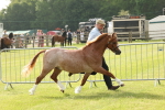 SBM_00467