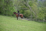 WJ6_2568