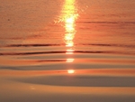 reflections 1