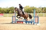 SBM_000743